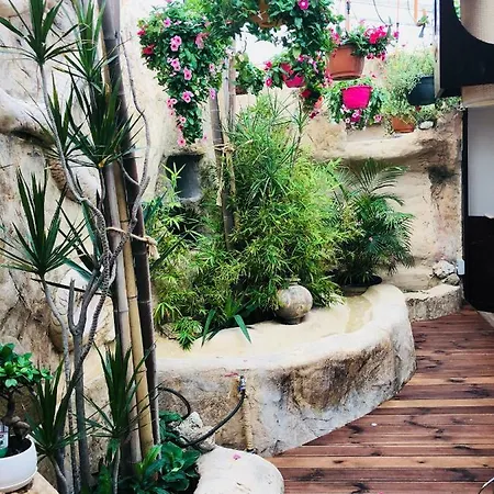 Buddha Apartment